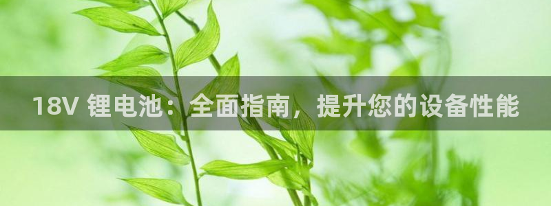 AG尊龙注册在线游戏：18V 锂电池：全面指南，提升您的设备性能