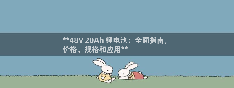 尊龙app怎么样：**48V 20Ah 锂电池：全面指南，
价格、规格和应用**