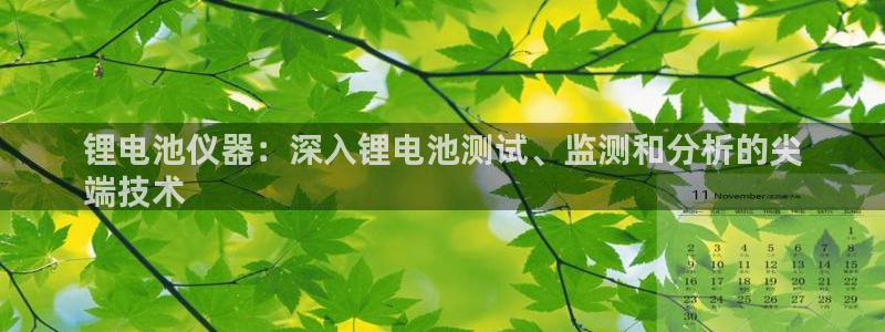 尊龙人生就是搏：锂电池仪器：深入锂电池测试、监测和分析的尖
端技术