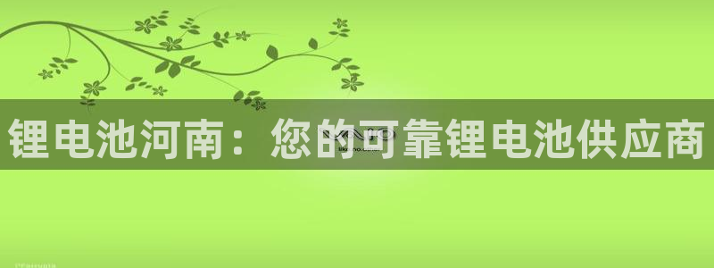 尊龙凯时是直营吗：锂电池河南：您的可靠锂电池供应商